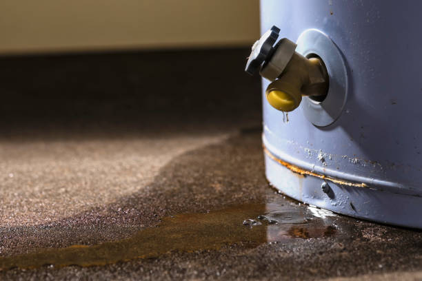 Best Water damage restoration near me  in Elberton, GA