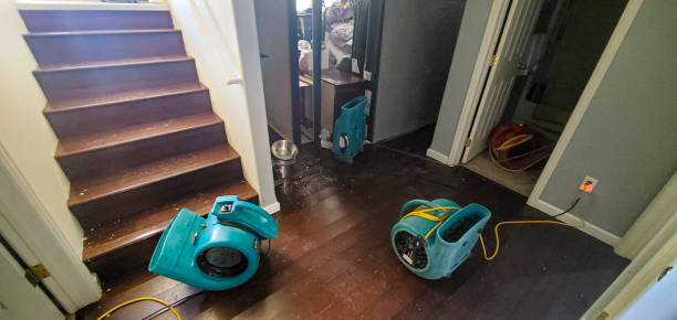 Best Sewage cleanup and water damage restoration  in Elberton, GA