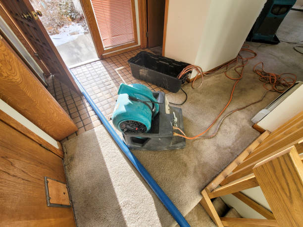 Best Water damage cleanup near me  in Elberton, GA