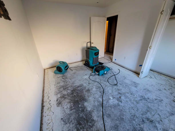 Best Fire Damage Restoration  in Elberton, GA