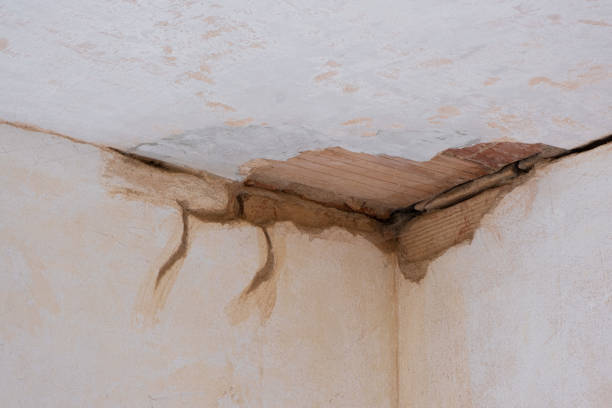 Best Basement water damage restoration  in Elberton, GA