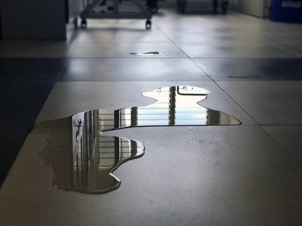 Best Water damage repair service  in Elberton, GA