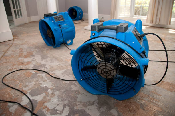 Best Flood restoration services  in Elberton, GA