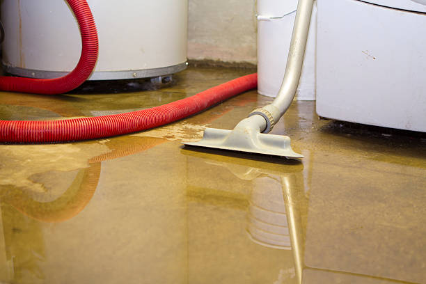 Best Flooded house restoration  in Elberton, GA
