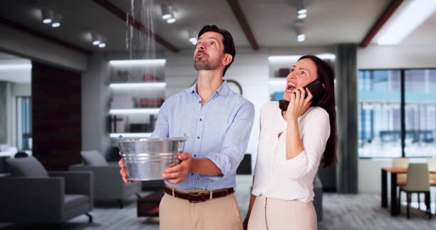 Best Water damage restoration specialists  in Elberton, GA