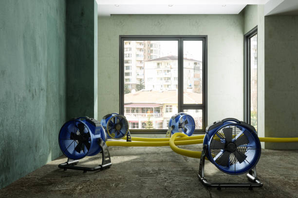 Professional Water damage restoration in Elberton, GA
